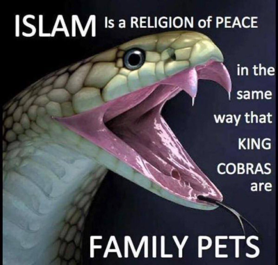 GRANDPA’s FREE ADVICE tweet media