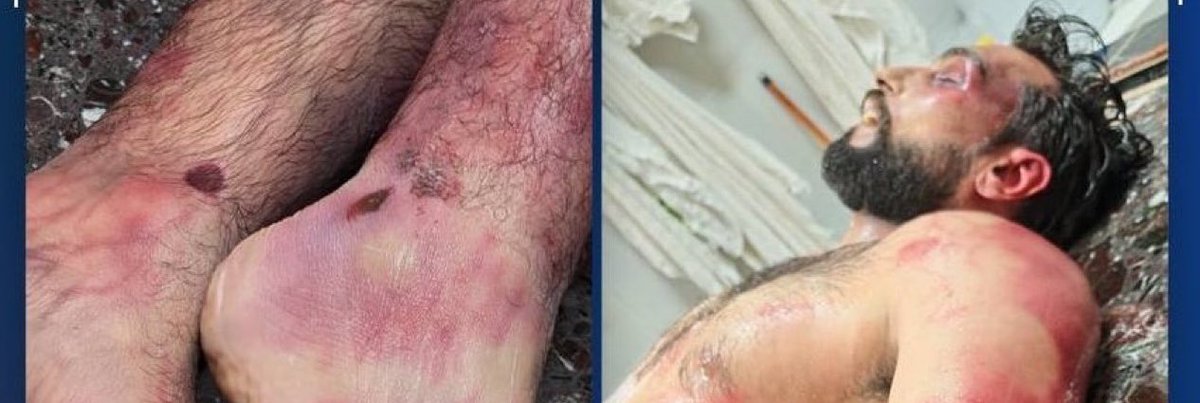 Sara Mir tweet media