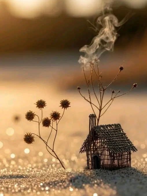 SabreenaSana tweet media