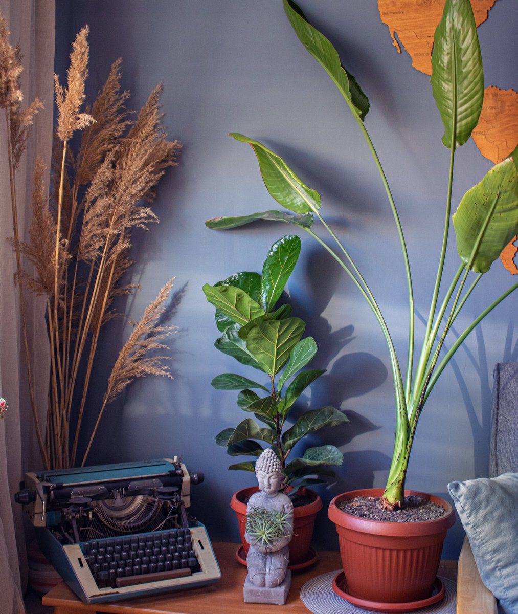 Ключарка tweet media