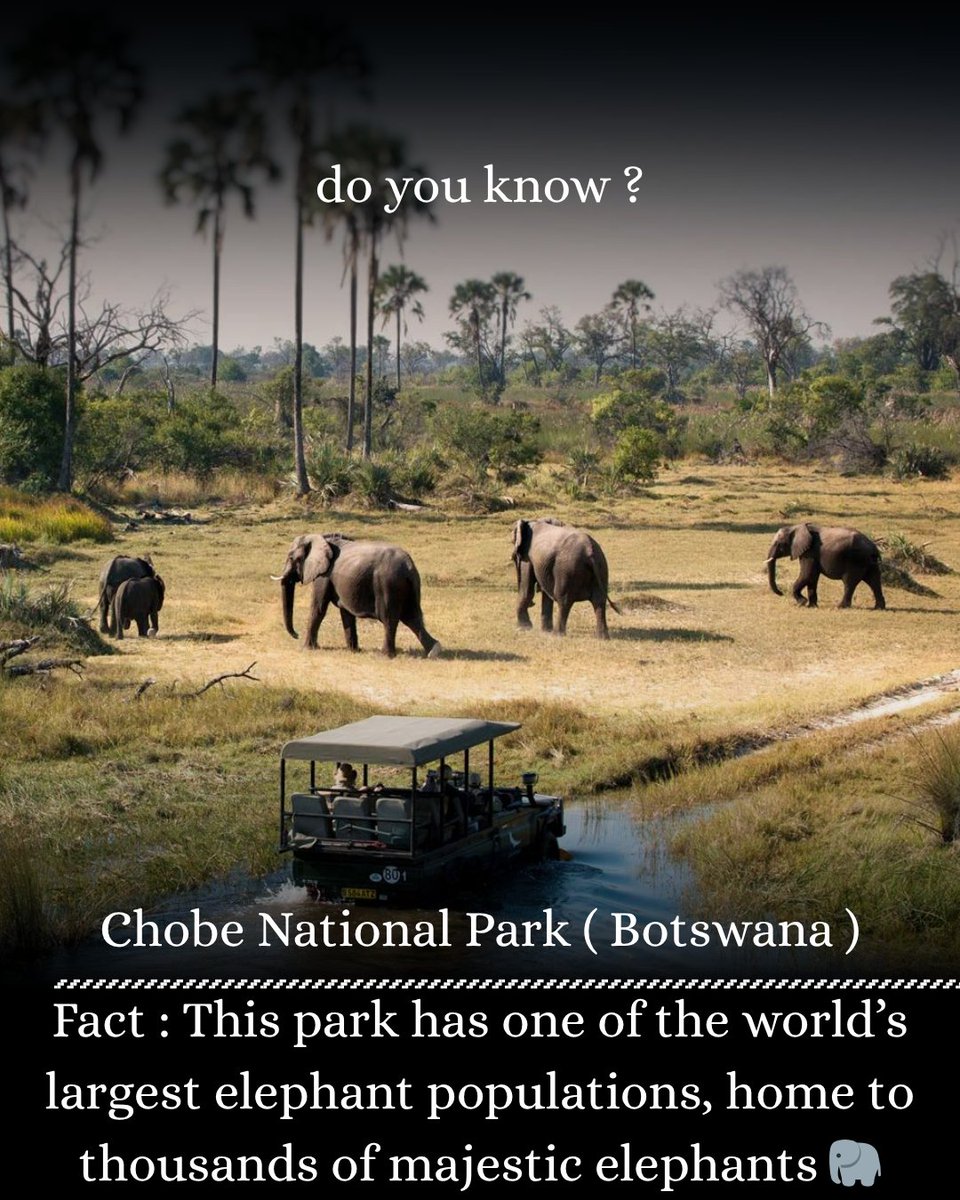 In_S_Travels's tweet photo. Discover the wild beauty of Chobe National Park, home to one of the largest elephant populations in the world 🐘. This incredible destination offers unforgettable safari experiences.

visit -https://t.co/BNgWh6Q3hO https://t.co/nwajdkaRPp