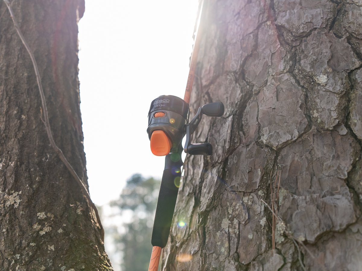 Bill Dance tweet media