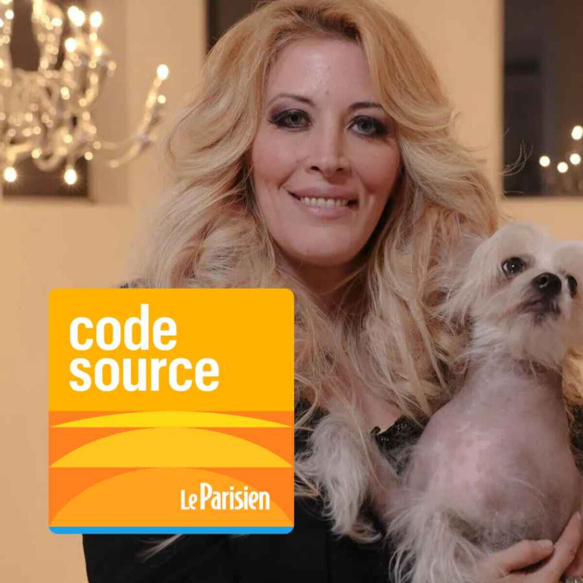 Le Parisien | Code source tweet media