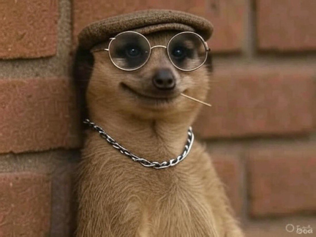 Trajon_Leonuel tweet media