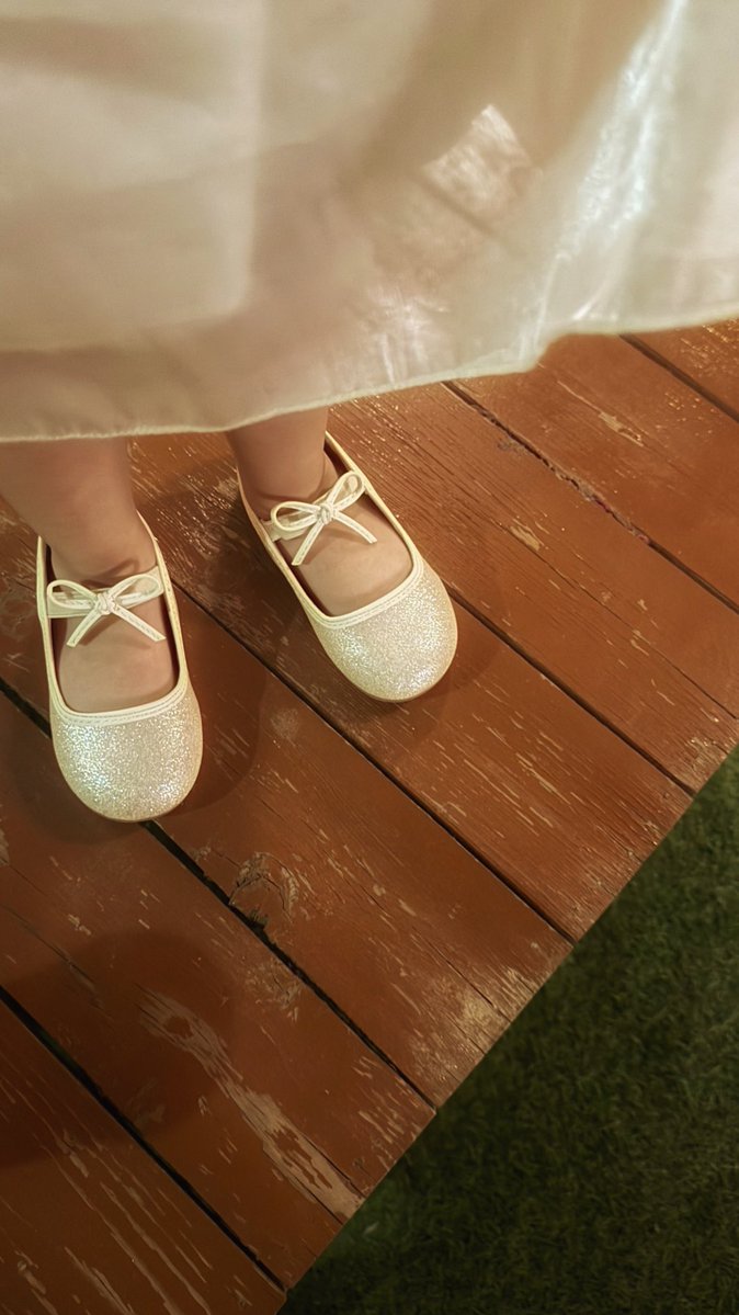 طير شلوى tweet media