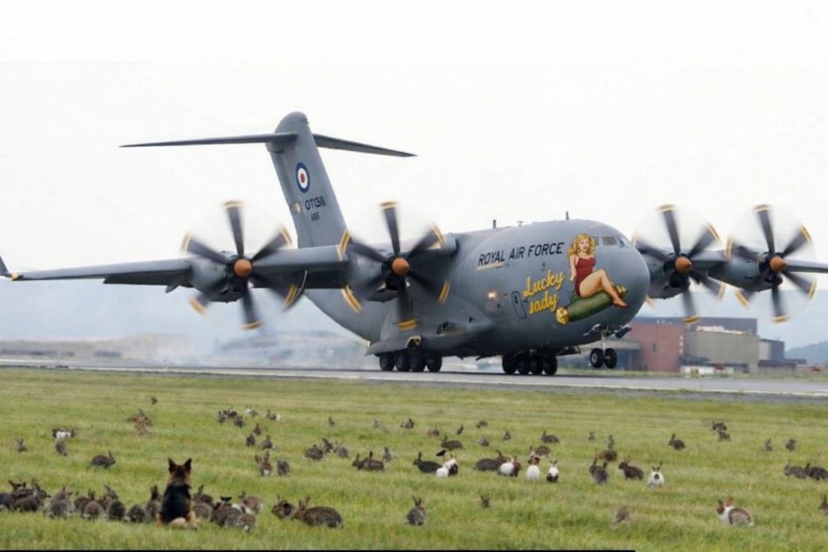 RAF Veteran. tweet media