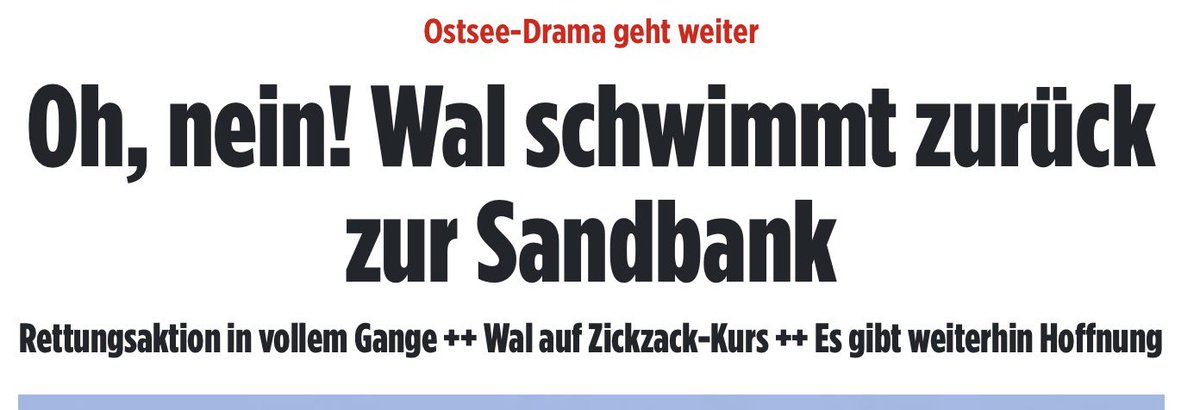 Australischer Austauschstudent tweet media