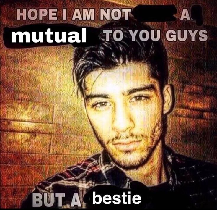 iris 🌙 tweet media