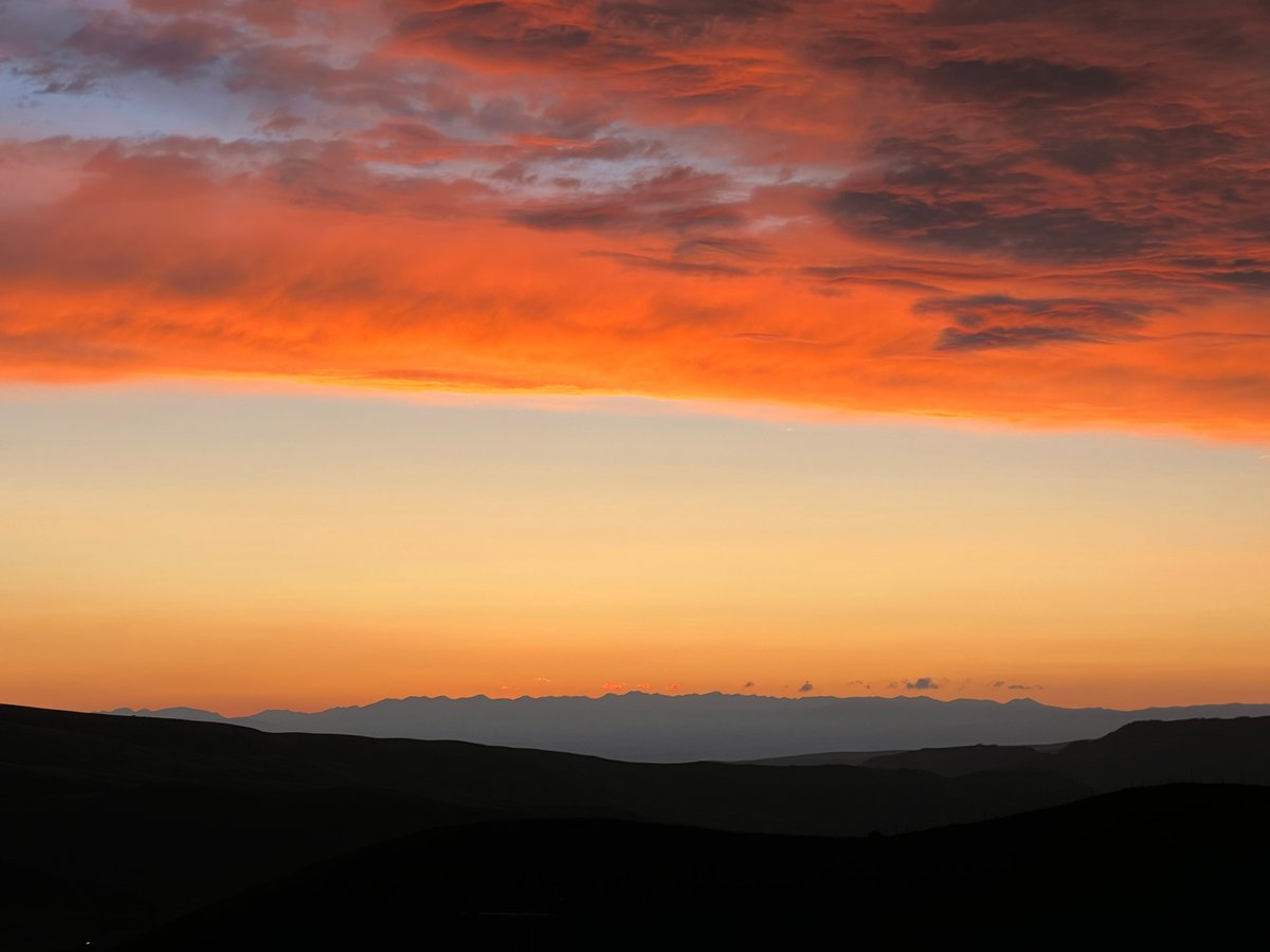 Marlene Rapa tweet media