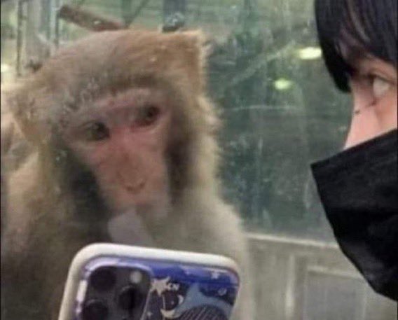 DaisyDavy📸🐸 tweet media