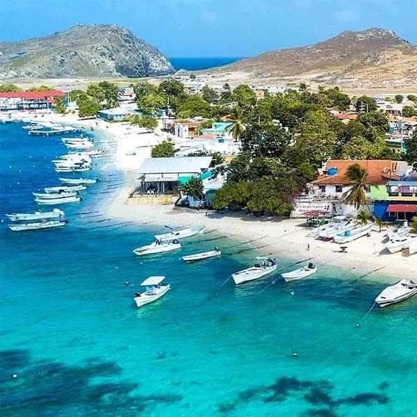 Gianluca Cocconcelli Art tweet media