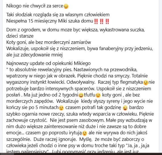 Robwalka Wolf tweet media