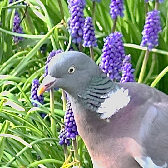 Ray Tranter tweet media