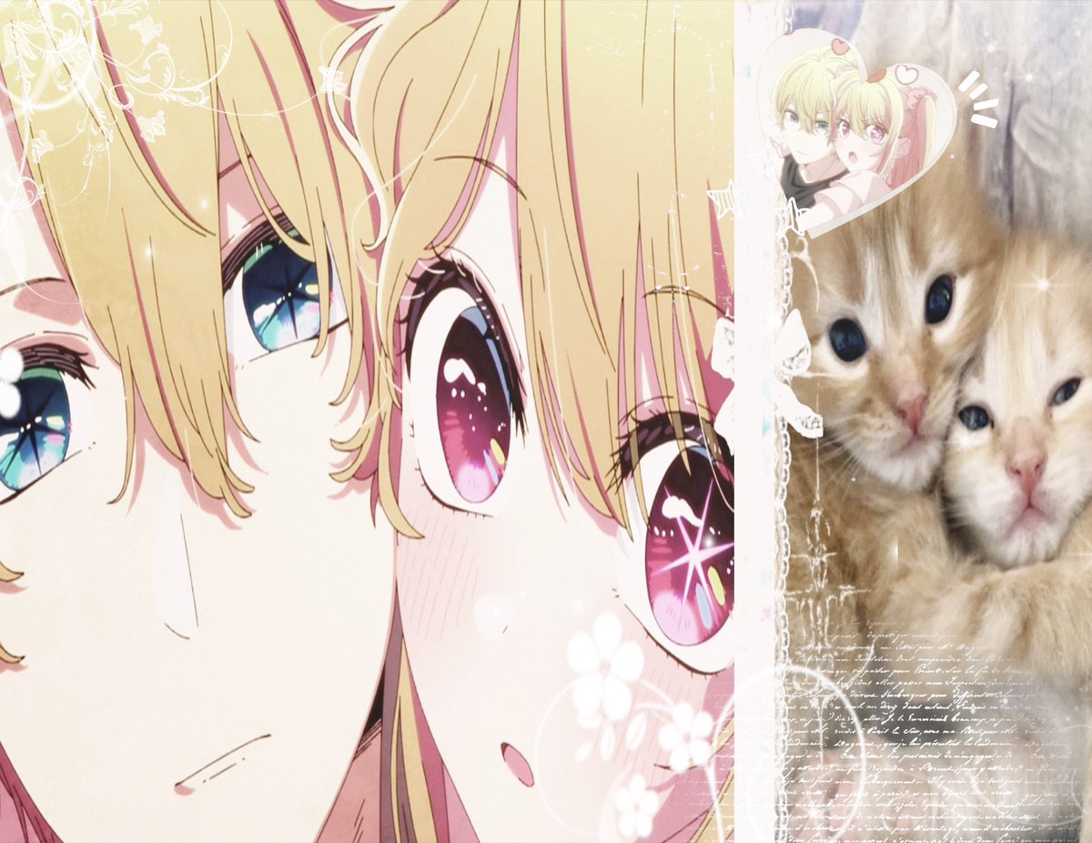 rina 🍧 tweet media