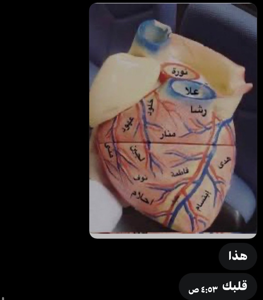 الزير 🇸🇦◼️⚜️🔱 tweet media