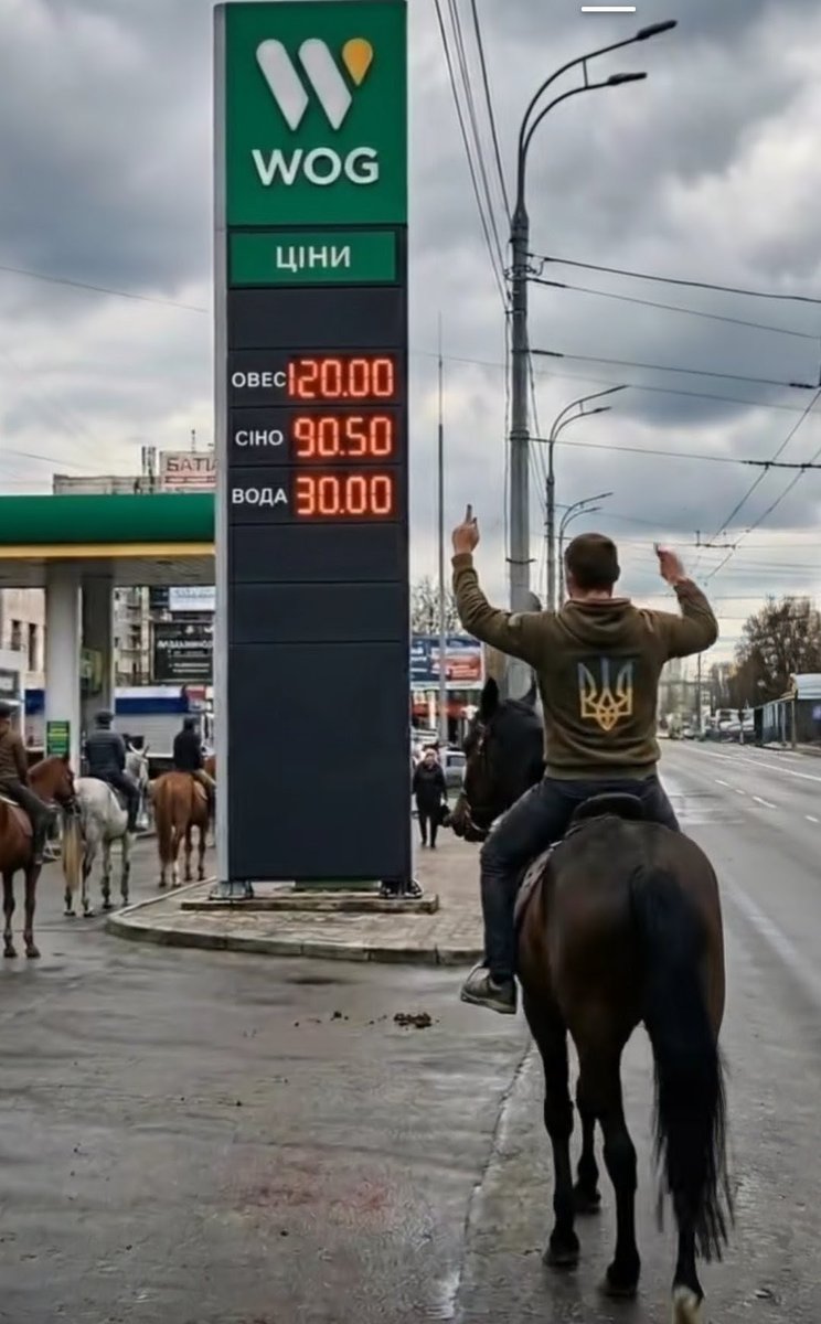 Scrooge McDuck tweet media