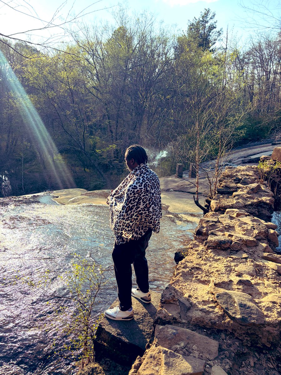 giovanna gestéche tweet media