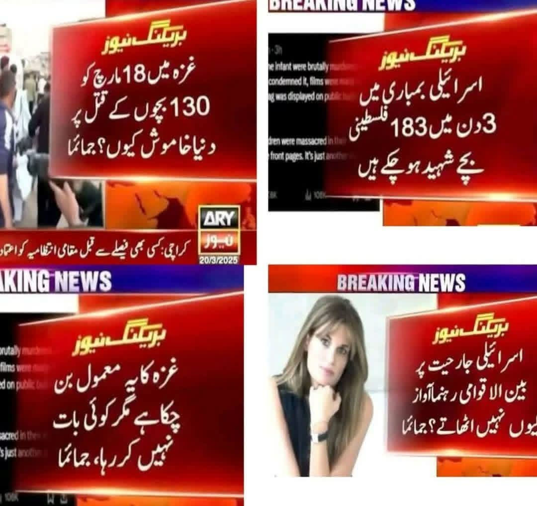 Gohar Iqbal tweet media