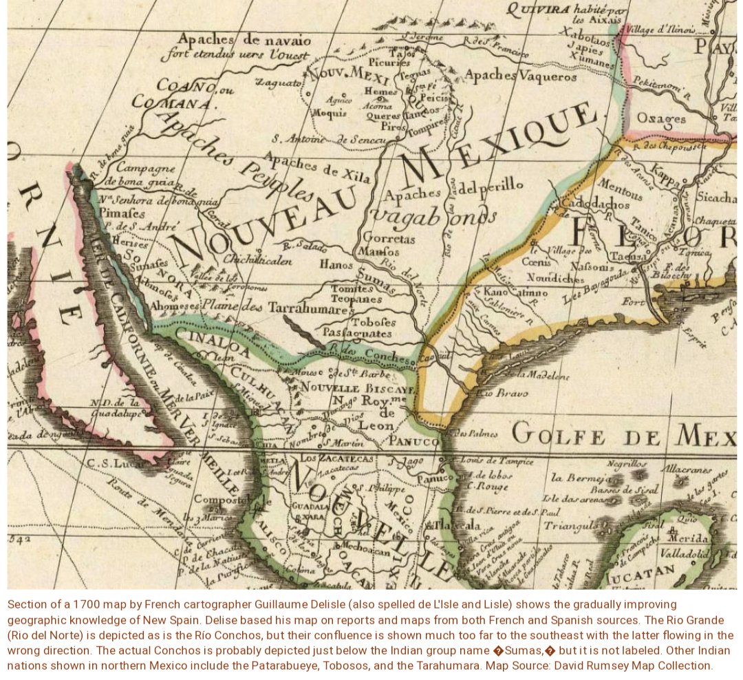 AlbuCrikey 🗽 tweet media