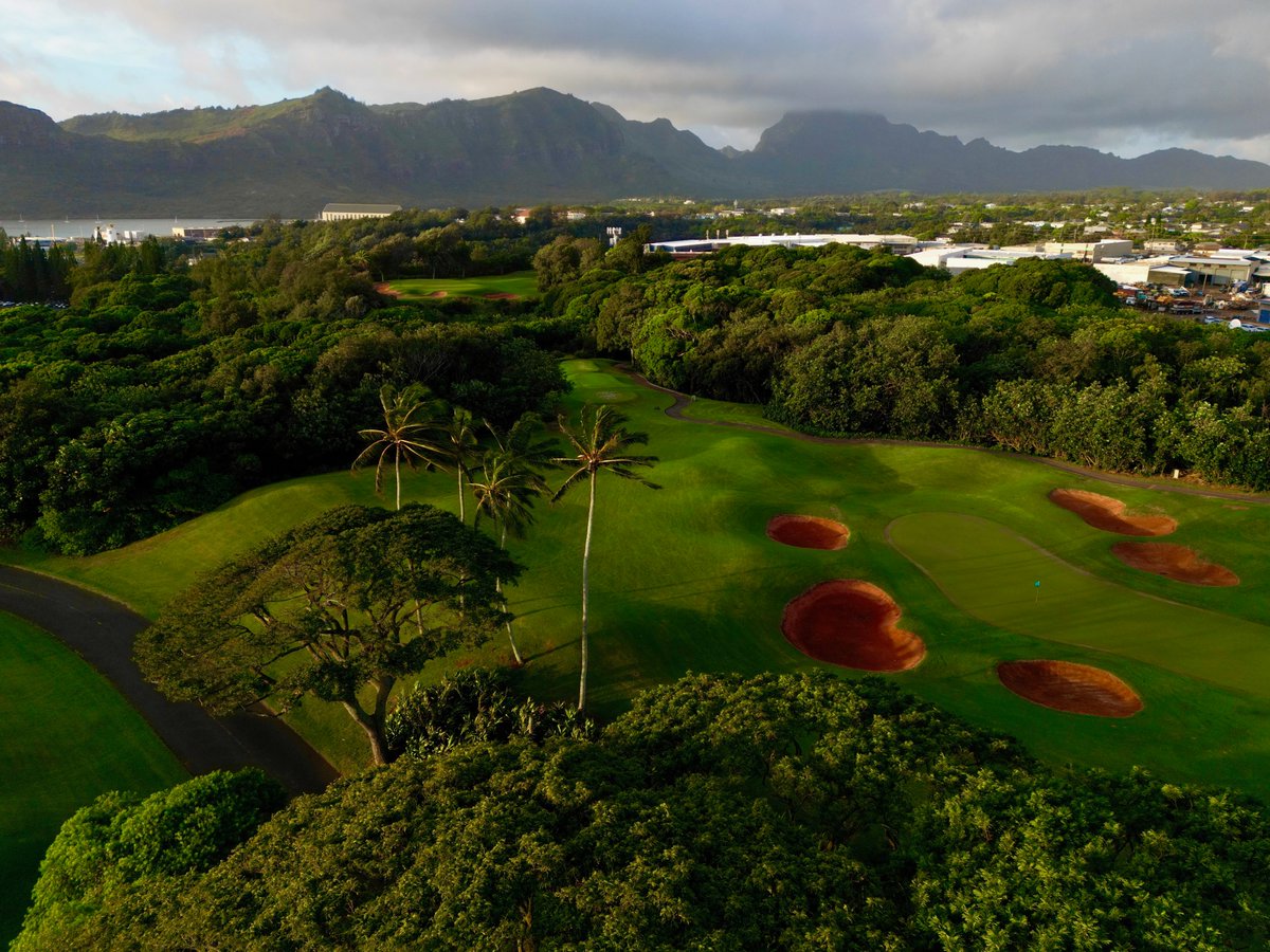 GoGolfKauai.com tweet media