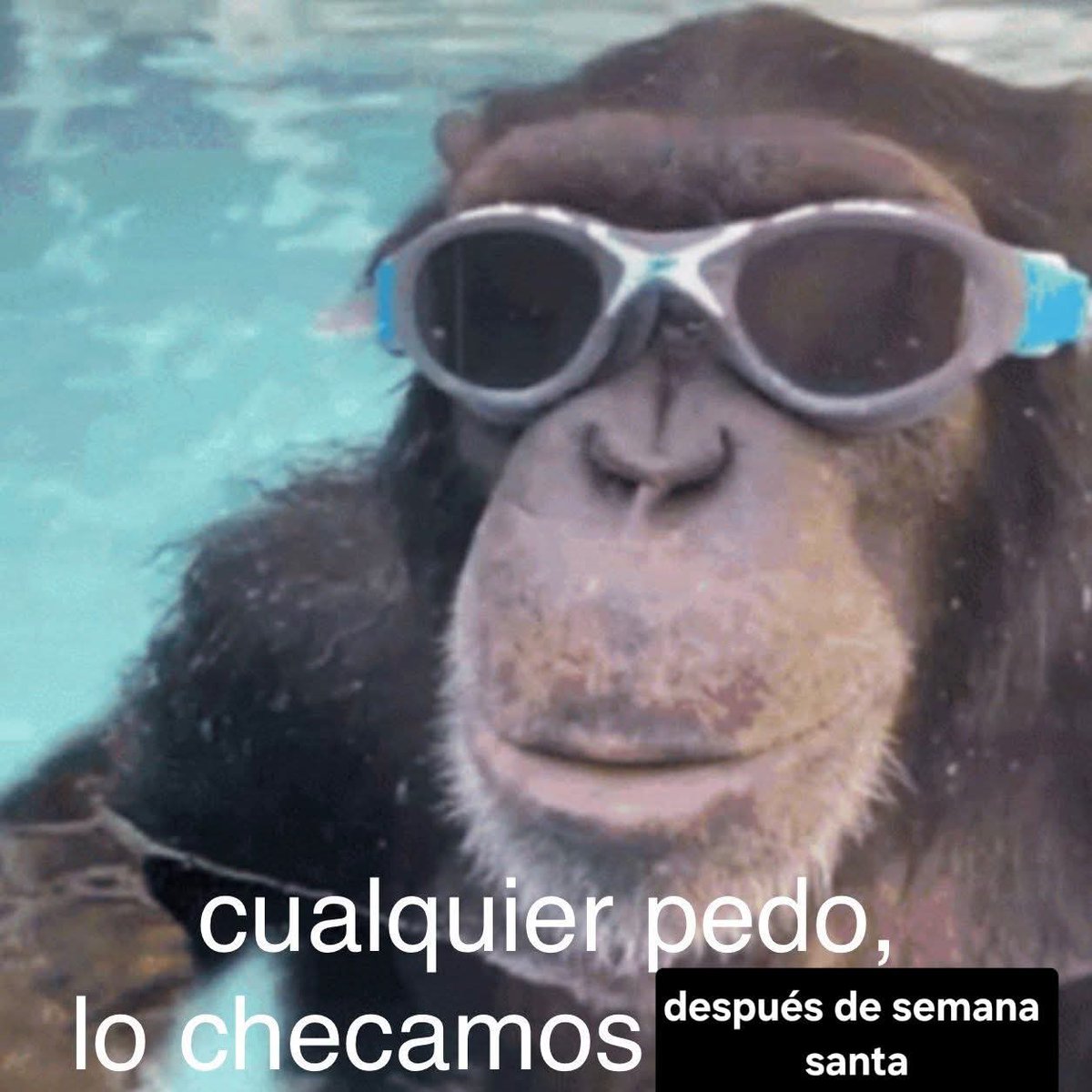 Nasty Poet tweet media