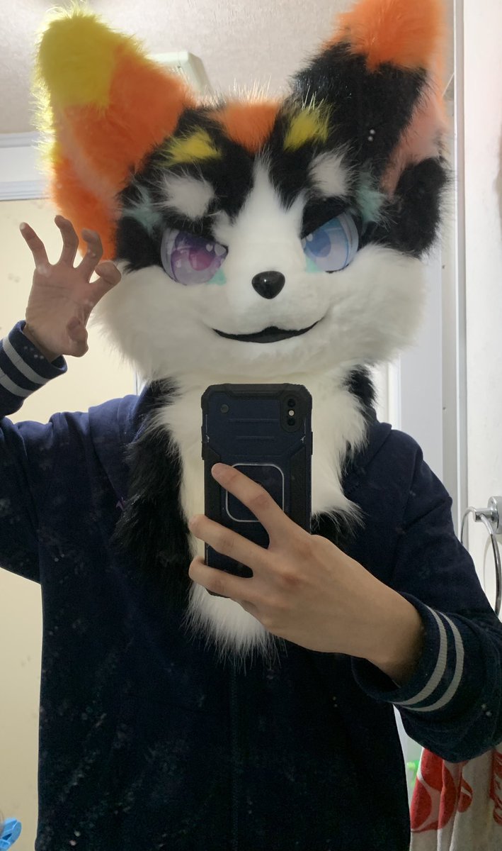 兎蛙梟（とみださら）/ラトの主 tweet media