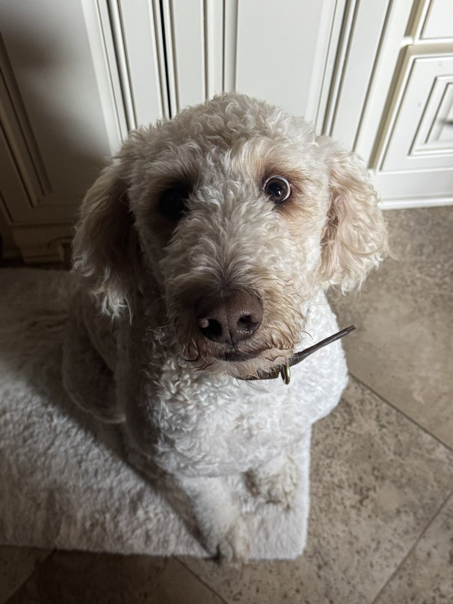 Dad 🤠 tweet media