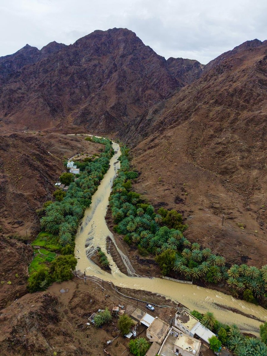 عبدالله البداعي tweet media