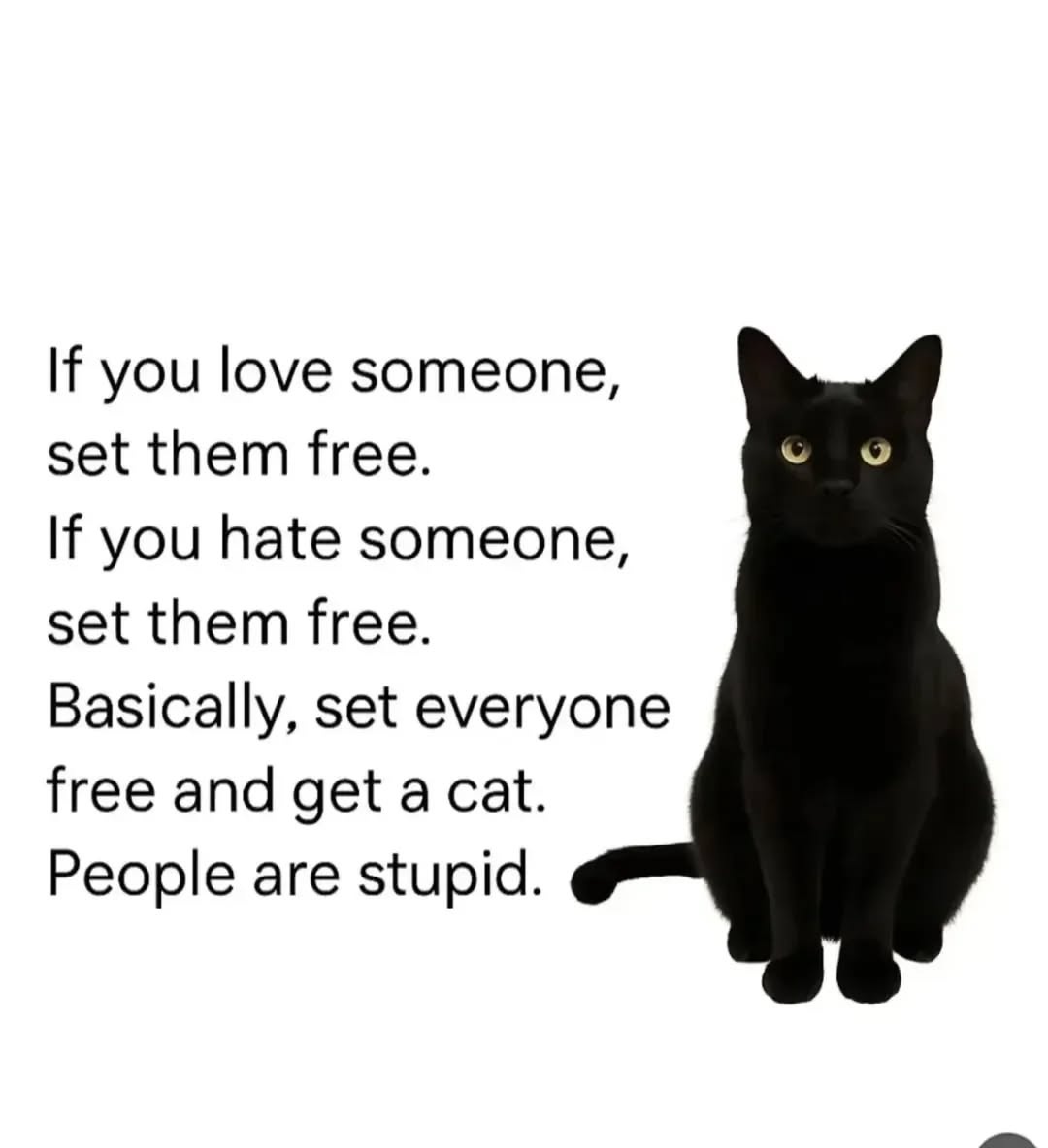 We don't deserve cats 😺 tweet media