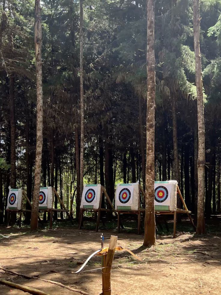 LALALAND tweet media