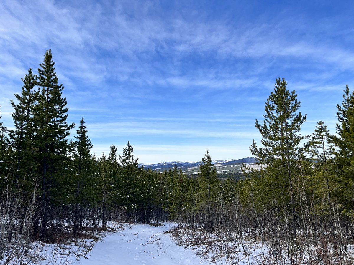 michelle d tweet media