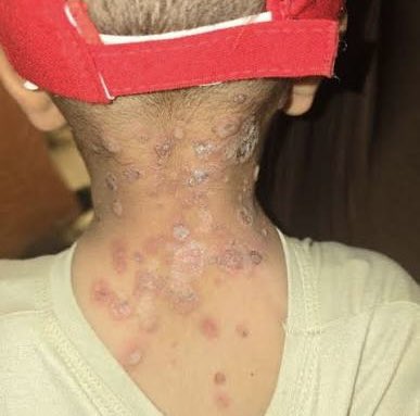 Mohammed in Gaza🇵🇸🤍 tweet media