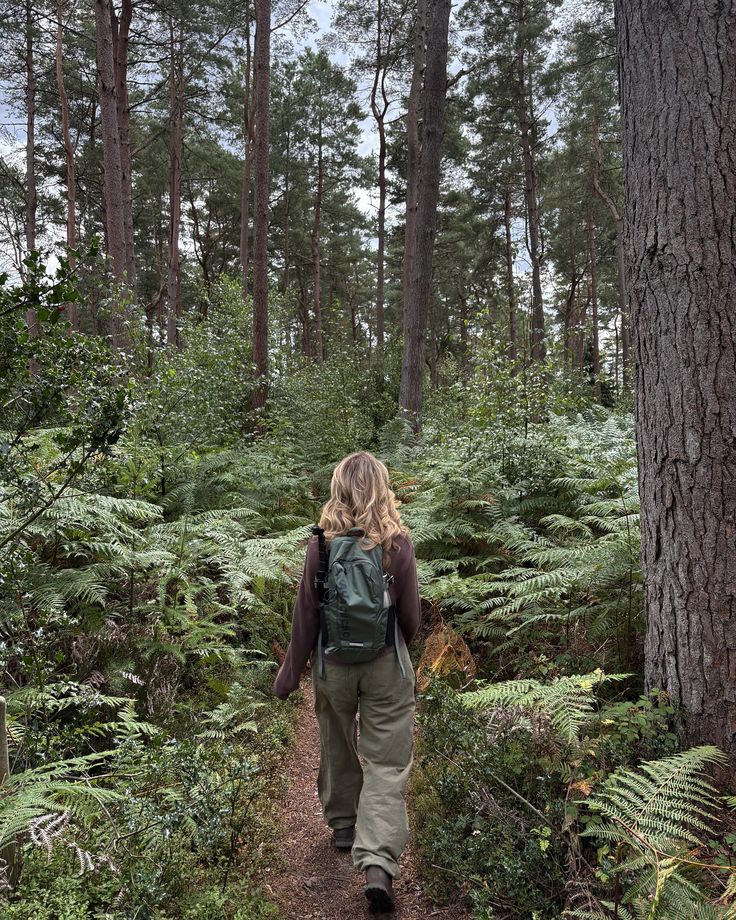 LALALAND tweet media