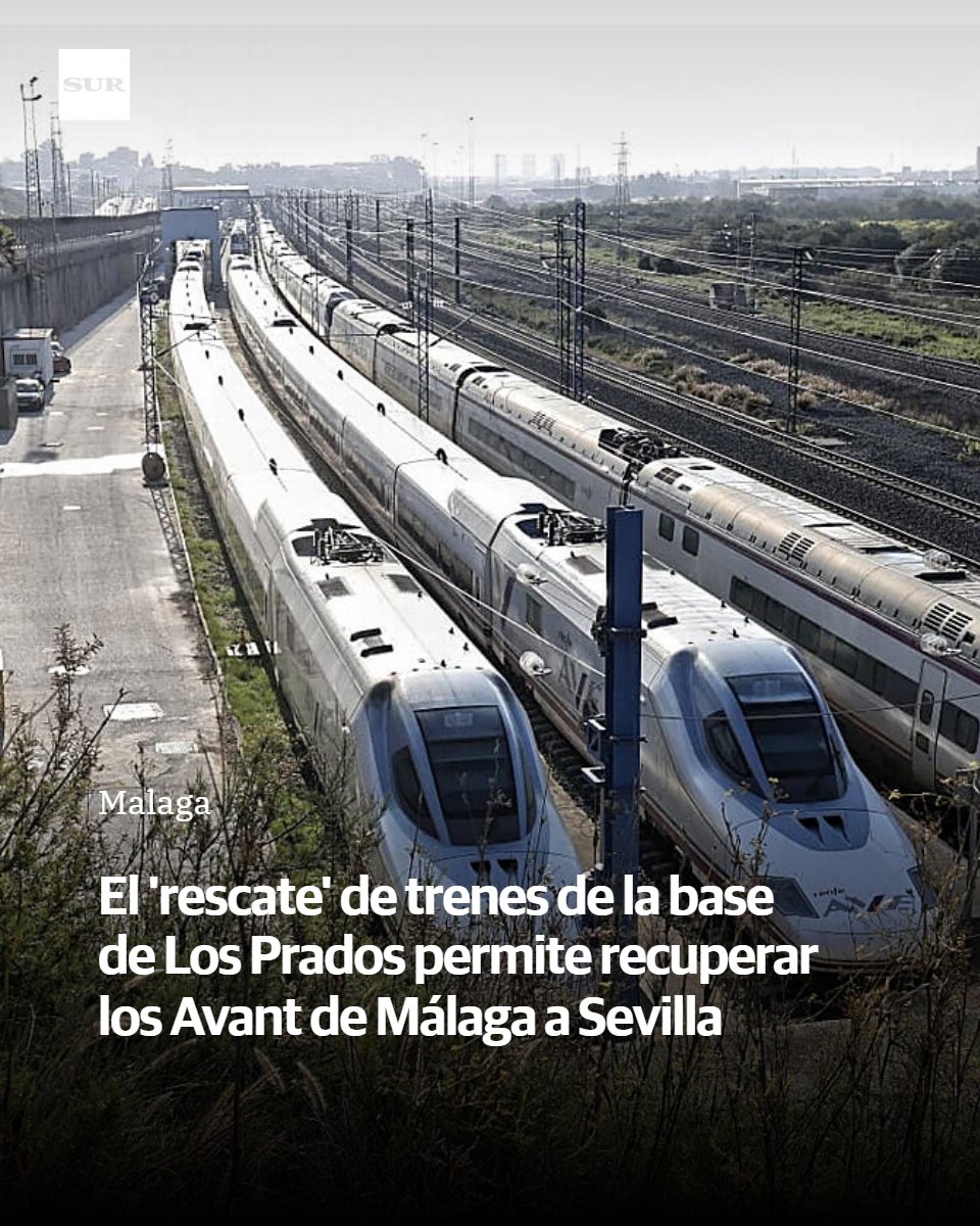 SUR. El periódico de Málaga tweet media