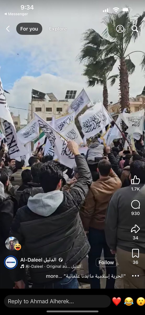 Aliaa Saeid علياء سعيد tweet media