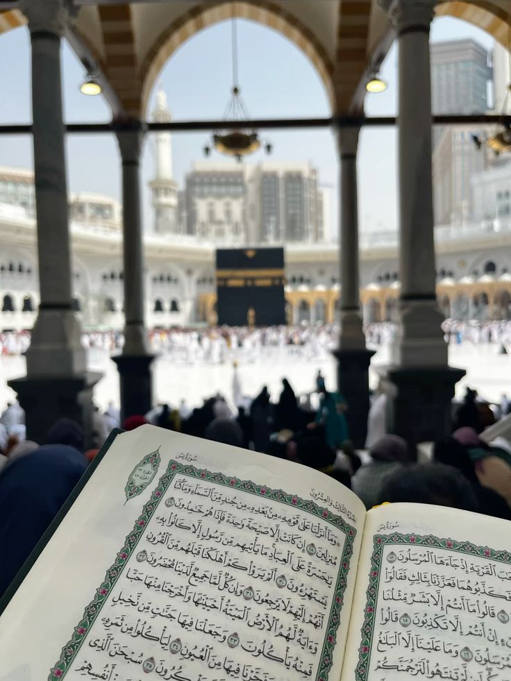 Hoca Hanım tweet media