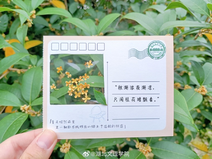 mari kriz umali tweet media