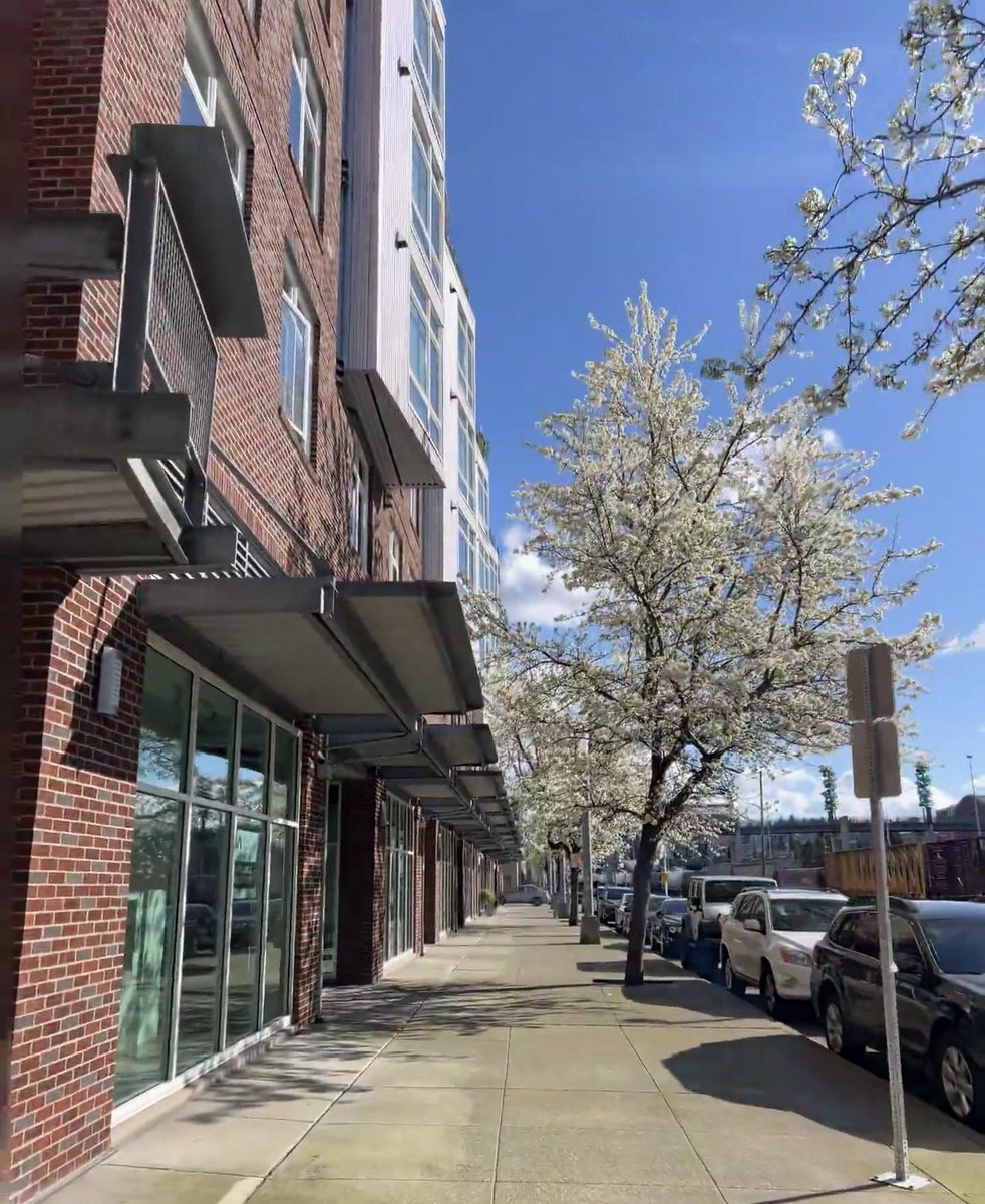 Shiloh Muse tweet media