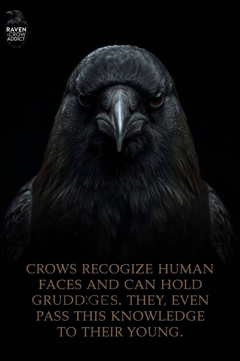 𝐴 𝐵𝑒𝑎𝑢𝑡𝑖𝑓𝑢𝑙 𝑀𝑖𝑛𝐷 ☮️ tweet media