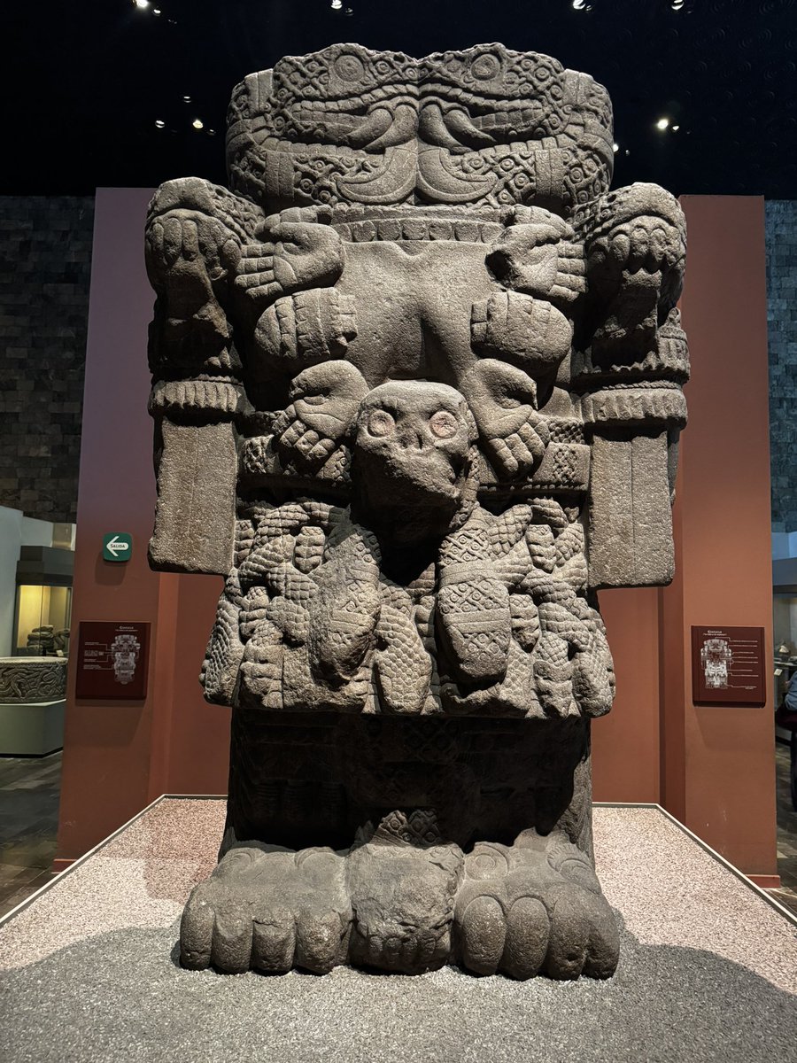 Alejandro Rosas tweet media