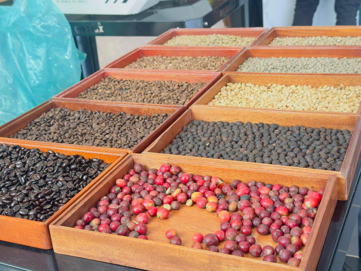 Taffies Safaris 🇺🇬🇰🇪🇷🇼🇹🇿 tweet media