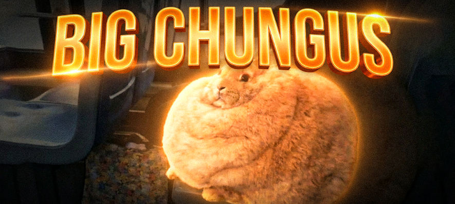 TarperDEV tweet media