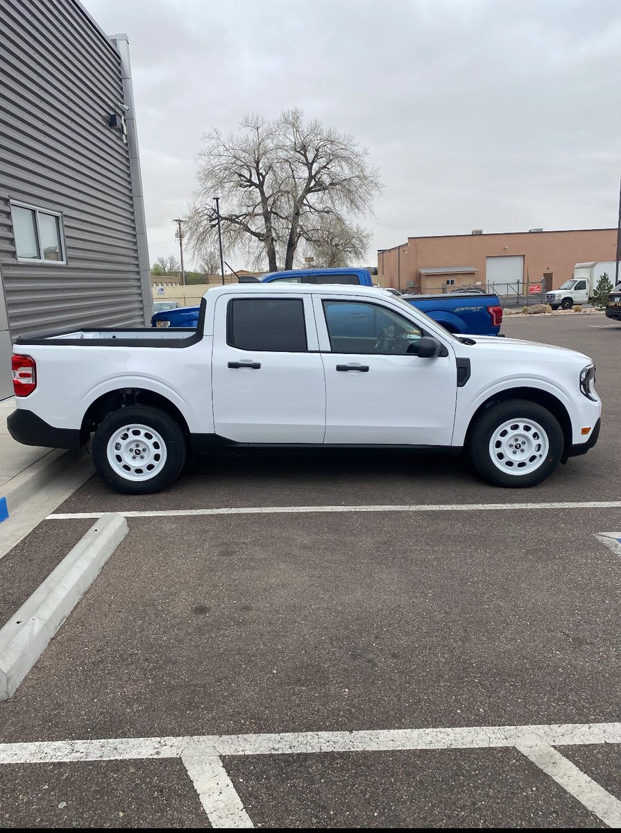 Casey McDaniel - Pest Control Guy tweet media