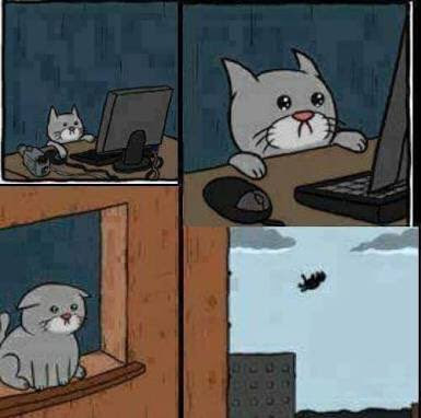 Chaditikus tweet media