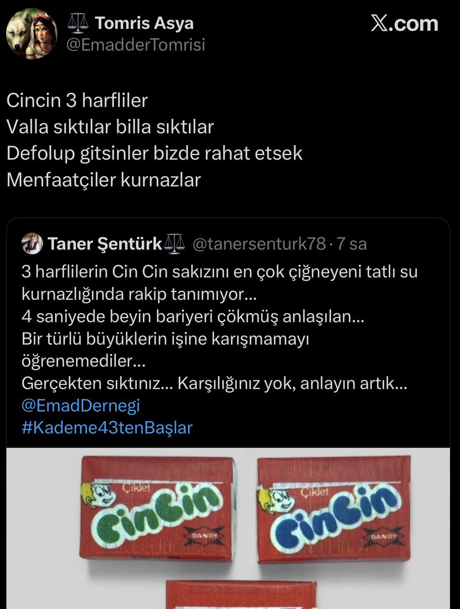 🧭 Filiz KOÇ KONCA tweet media