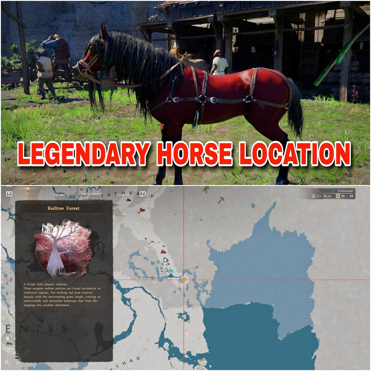 TheRealZephryss's tweet photo. Crimson Desert Tips & Tricks #32

Camora is a red legendary horse and the hardest to locate. Head to Redtree Forest in the Tashkalp region, specifically to a cavern meadow filled with flowers in the rainforest area. The location lies far southeast of Tommaso, east of the Sanctum of Renunciation, and west of the Red River. If you haven’t unlocked the regional map yet, ring the bell in Tommaso to trigger the ‘Toll of Pywel’ quest first.