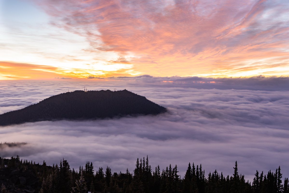 Mike Kvackay tweet media