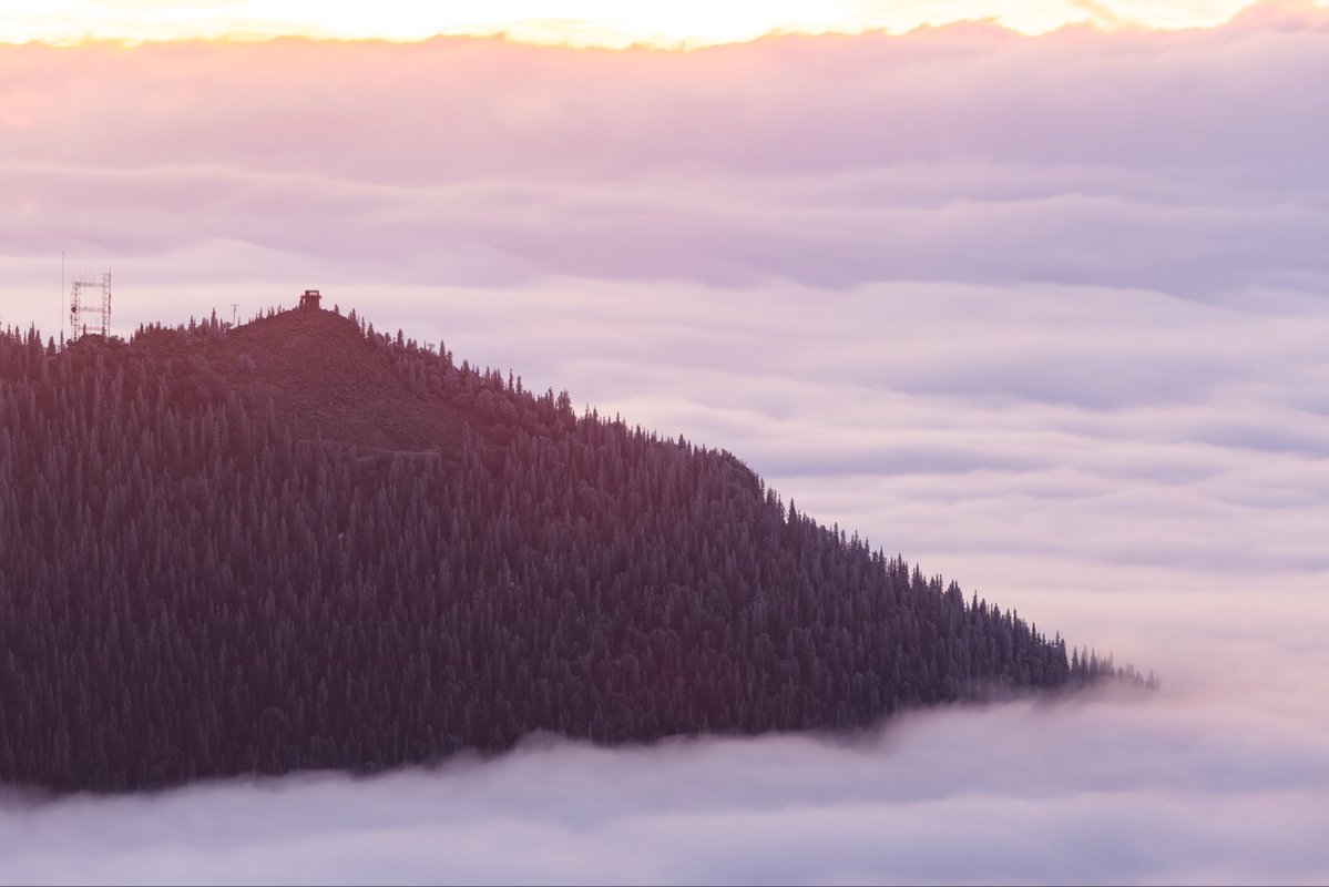 Mike Kvackay tweet media