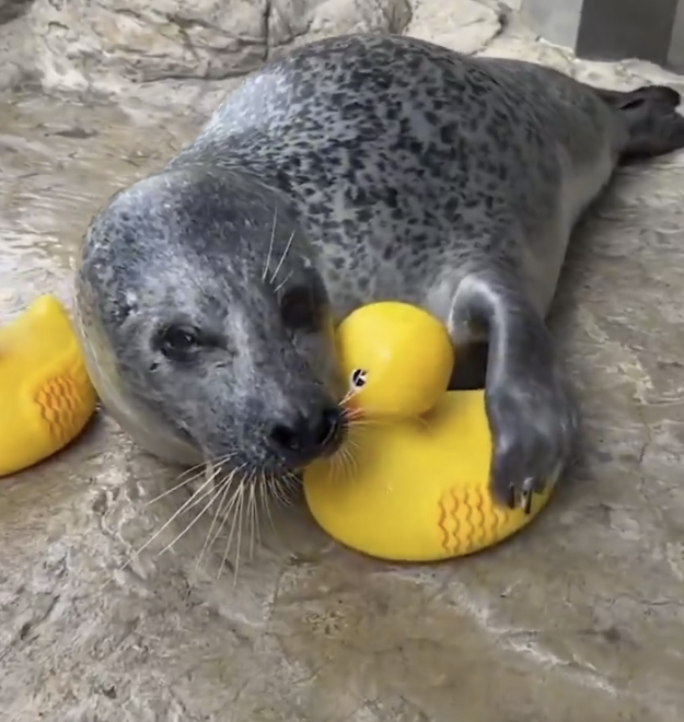 Doc 🧲 tweet media