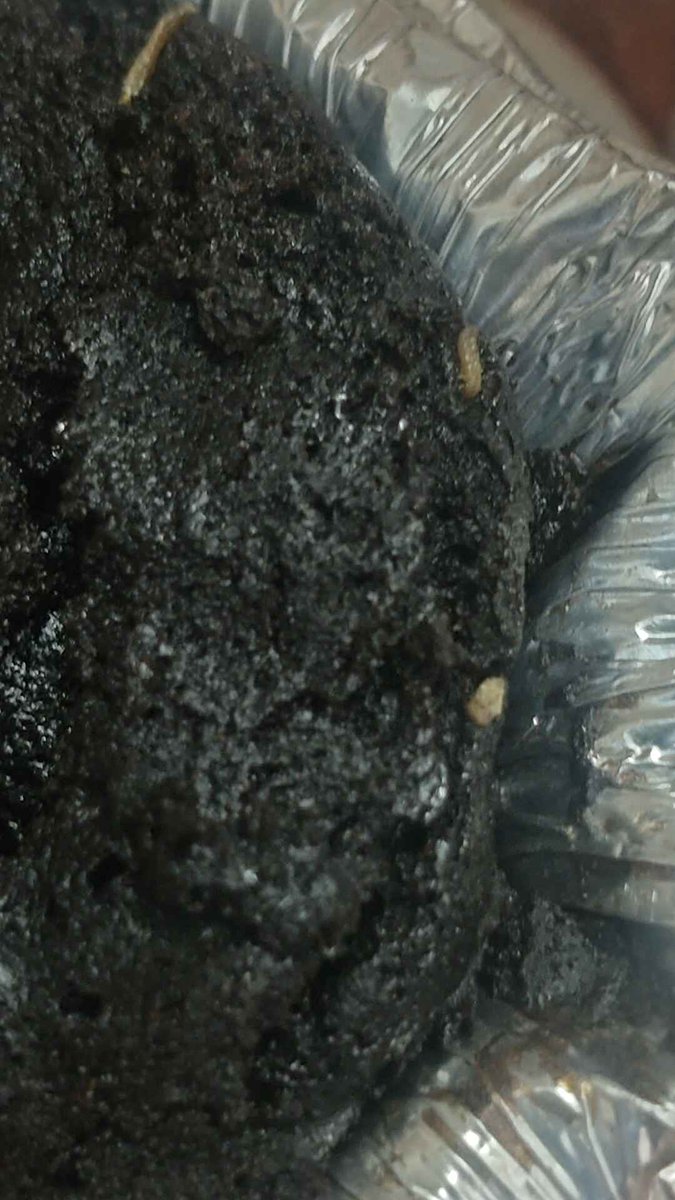 Rahul Aneja tweet media